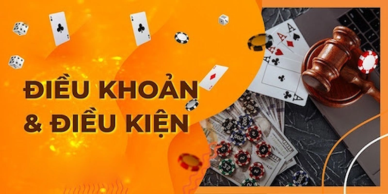 Điều Khoản Điều Kiện CM88: Quy Định Cơ Bản Cần Biết