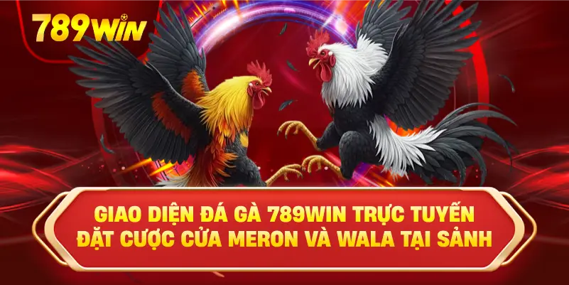 Giao diện đặt cược cửa Meron và Wala tại sảnh đá gà trực tuyến