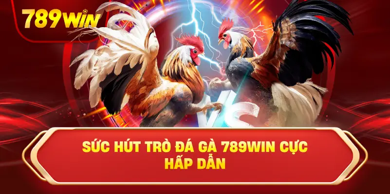 Khám Phá Sức Hút Đá Gà 789win Hấp Dẫn
